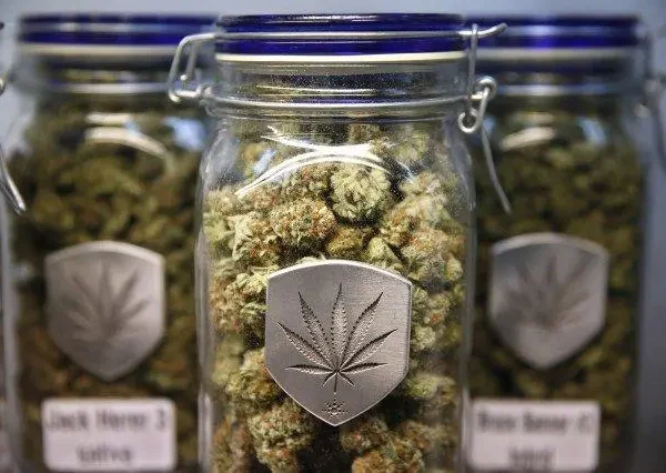 Nationwide Shipping From a Cannabis Store Canada